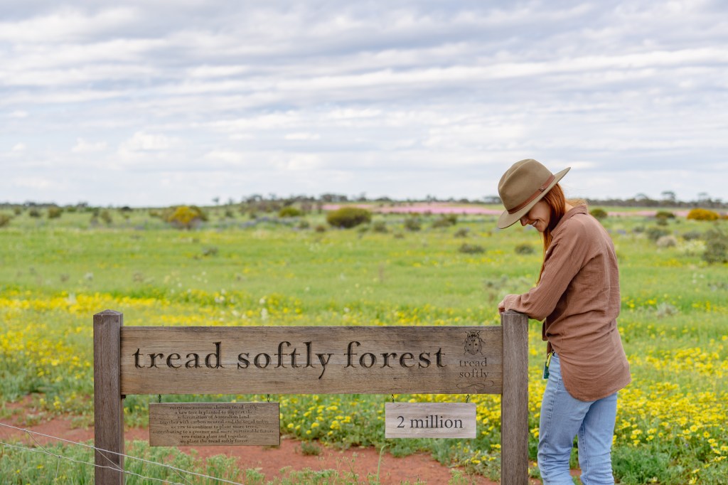 Tread Softly Forest