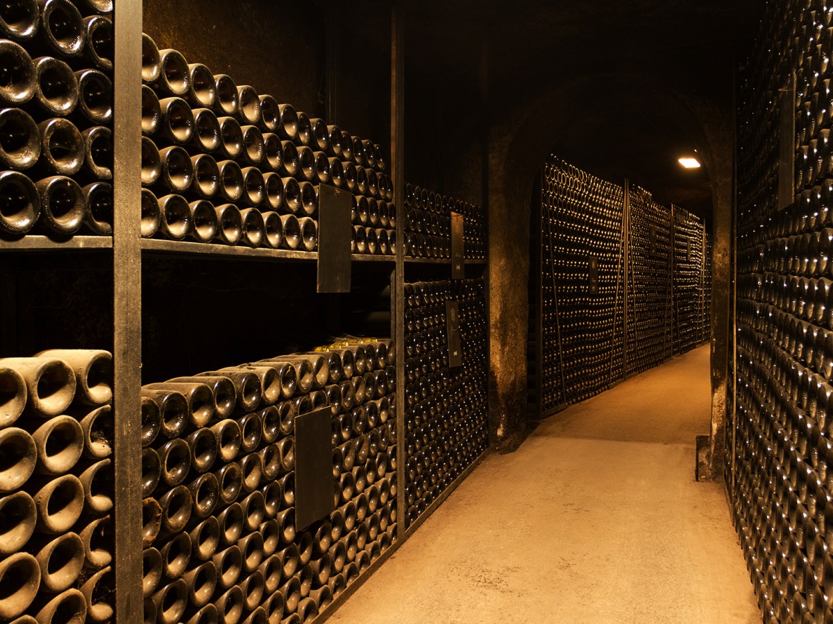 Wine cellar