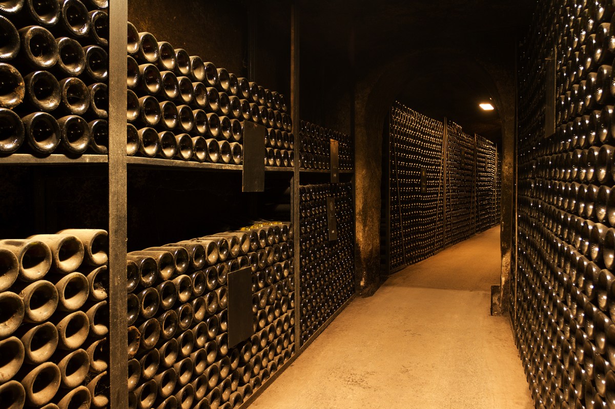 Wine cellar