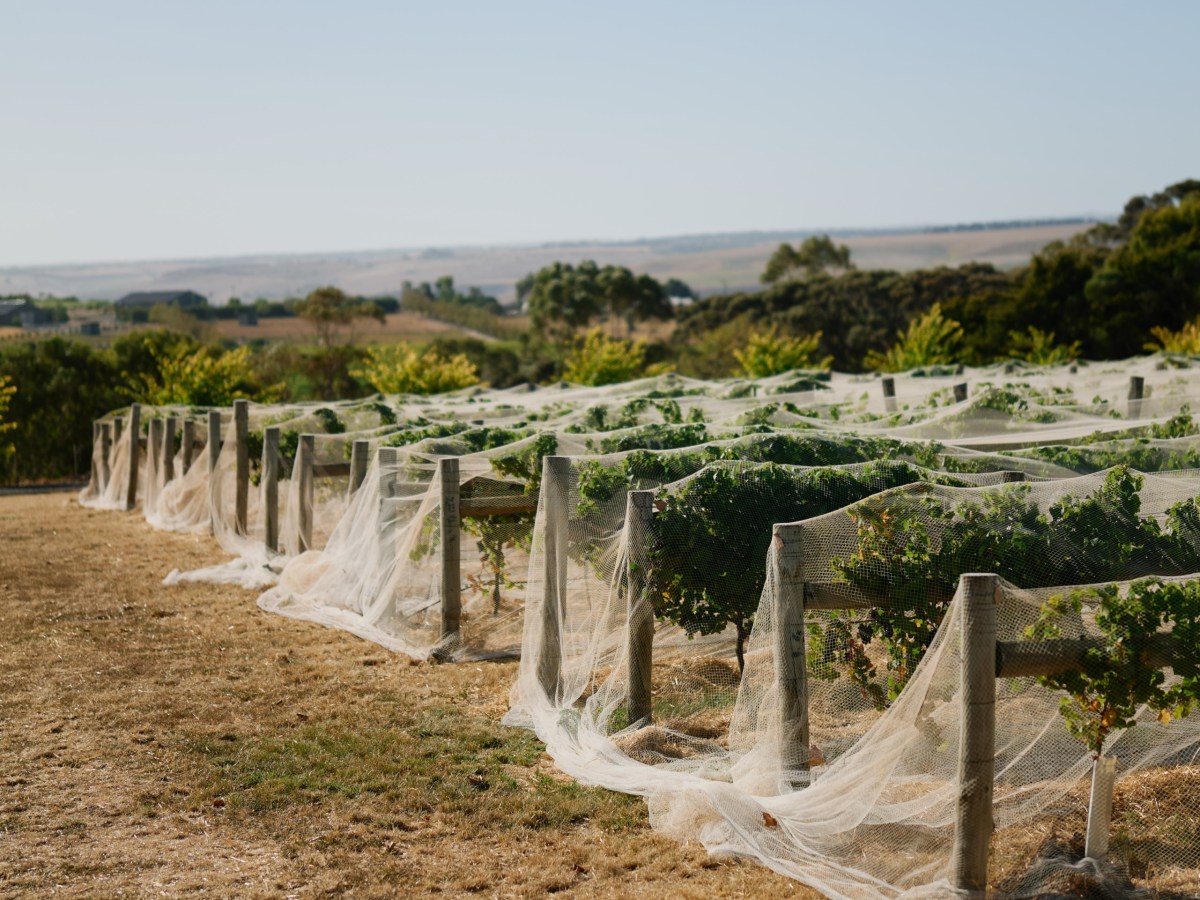 Top Wineries of Australia