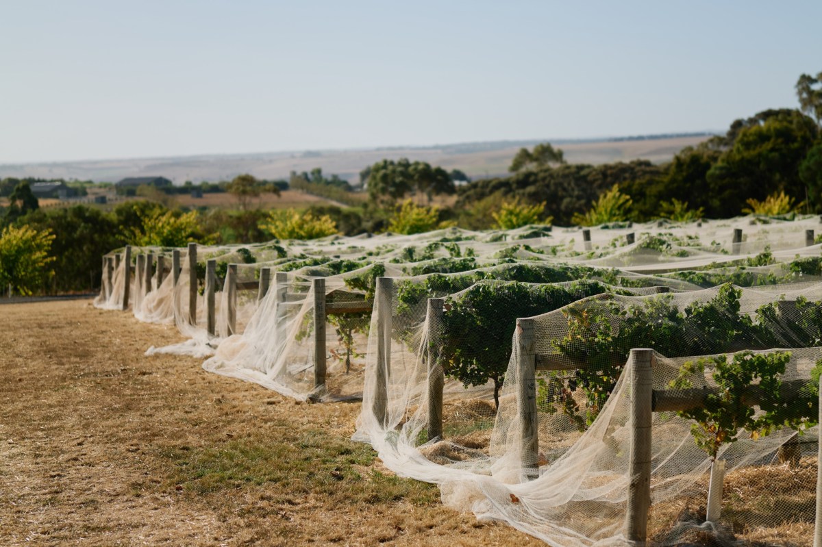 Top Wineries of Australia