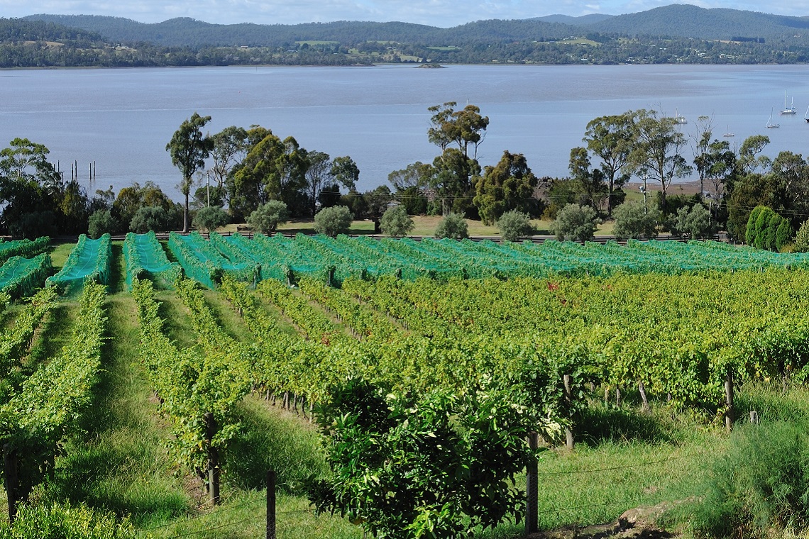 Record visits to Tasmania s cellar doors The Shout