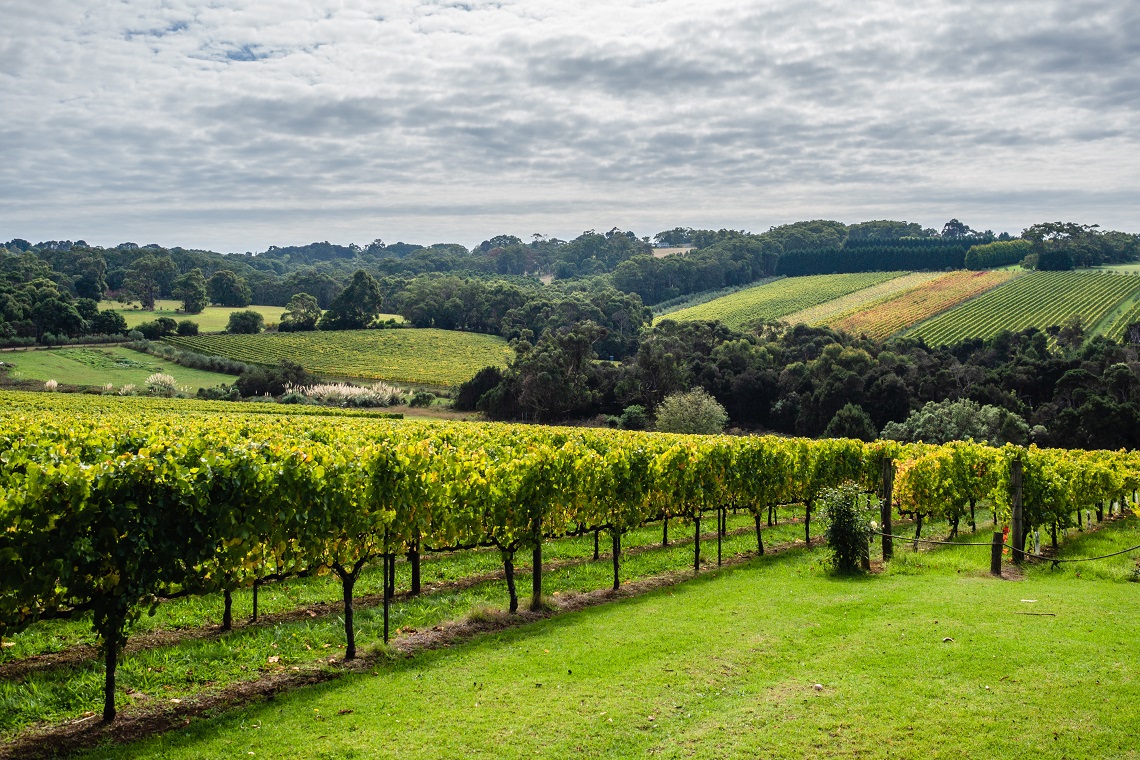 consultation national vineyard register