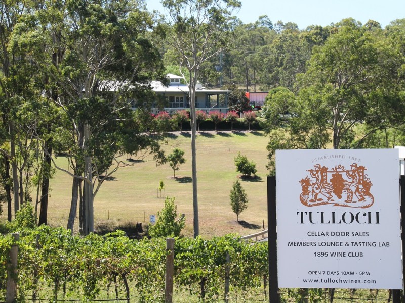 Tulloch wines up for sale - tulloch hunter winery