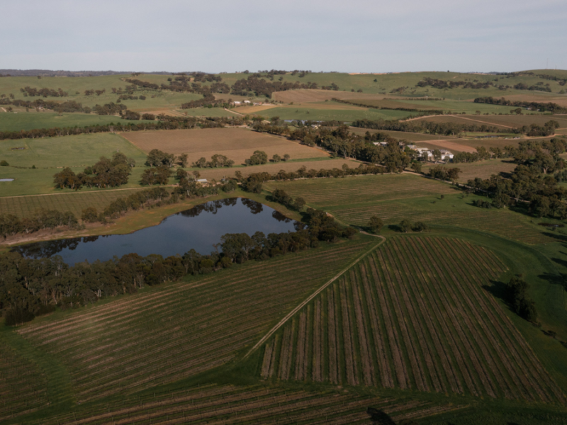 An overhead view of Penfolds vineyard, Treasury Wine Estates