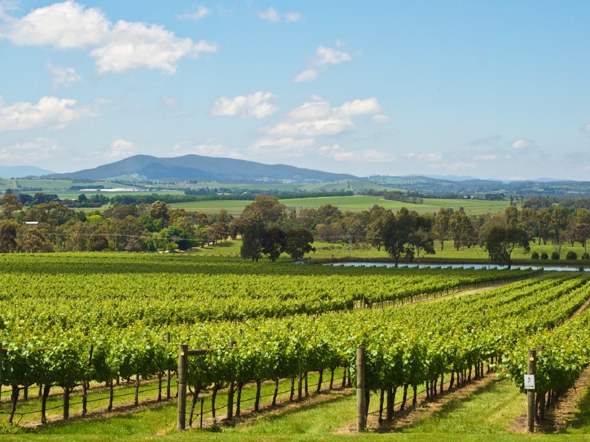 Victorian Government wine strategy