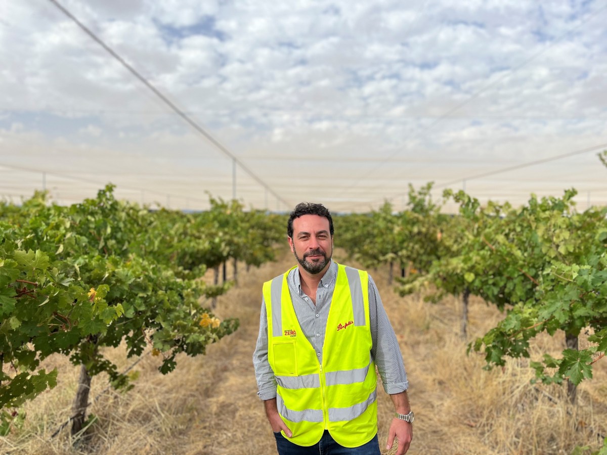 Treasury Wine Estates Director of Wine and Grape Sourcing Anthony Catanzariti