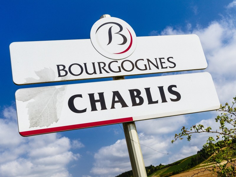 Chablis Bourgogne buyers guide