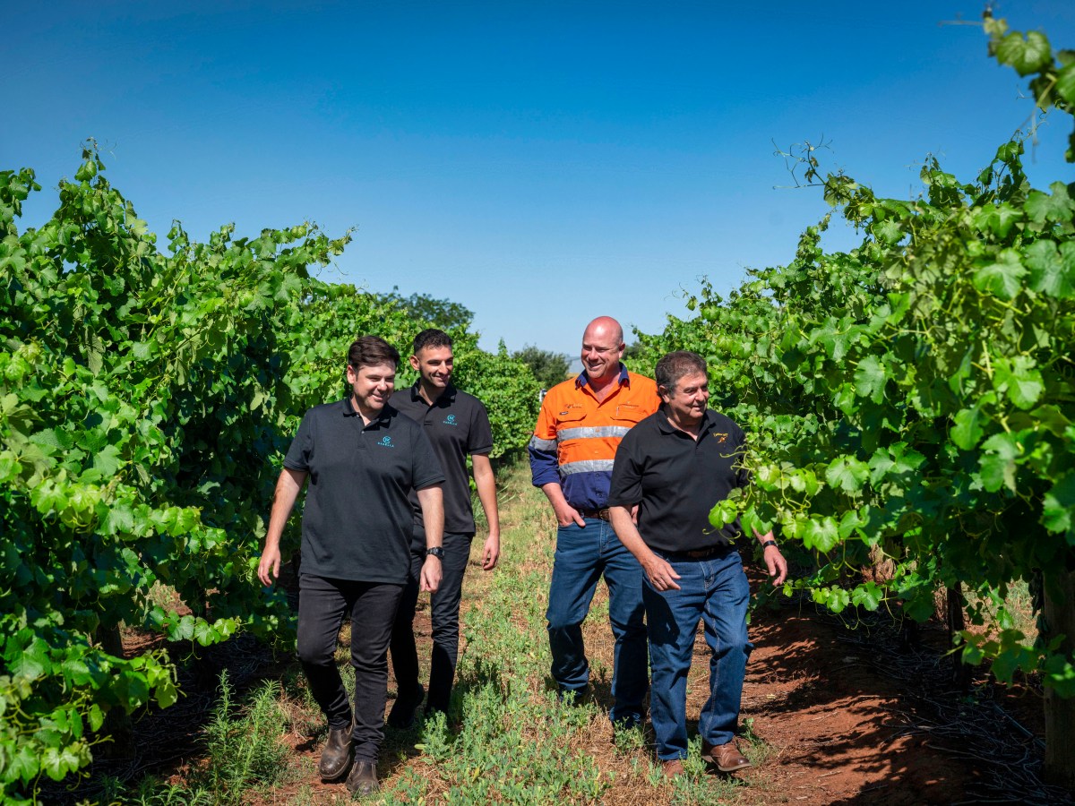 Casella Family Brands