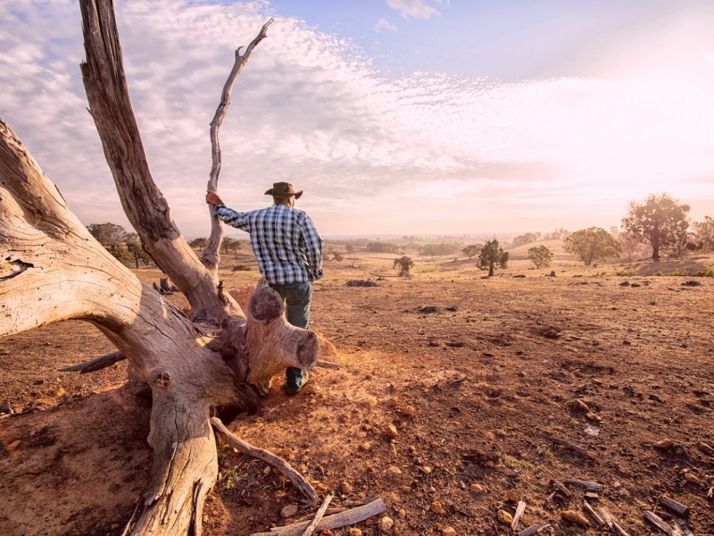 victorian government drought support