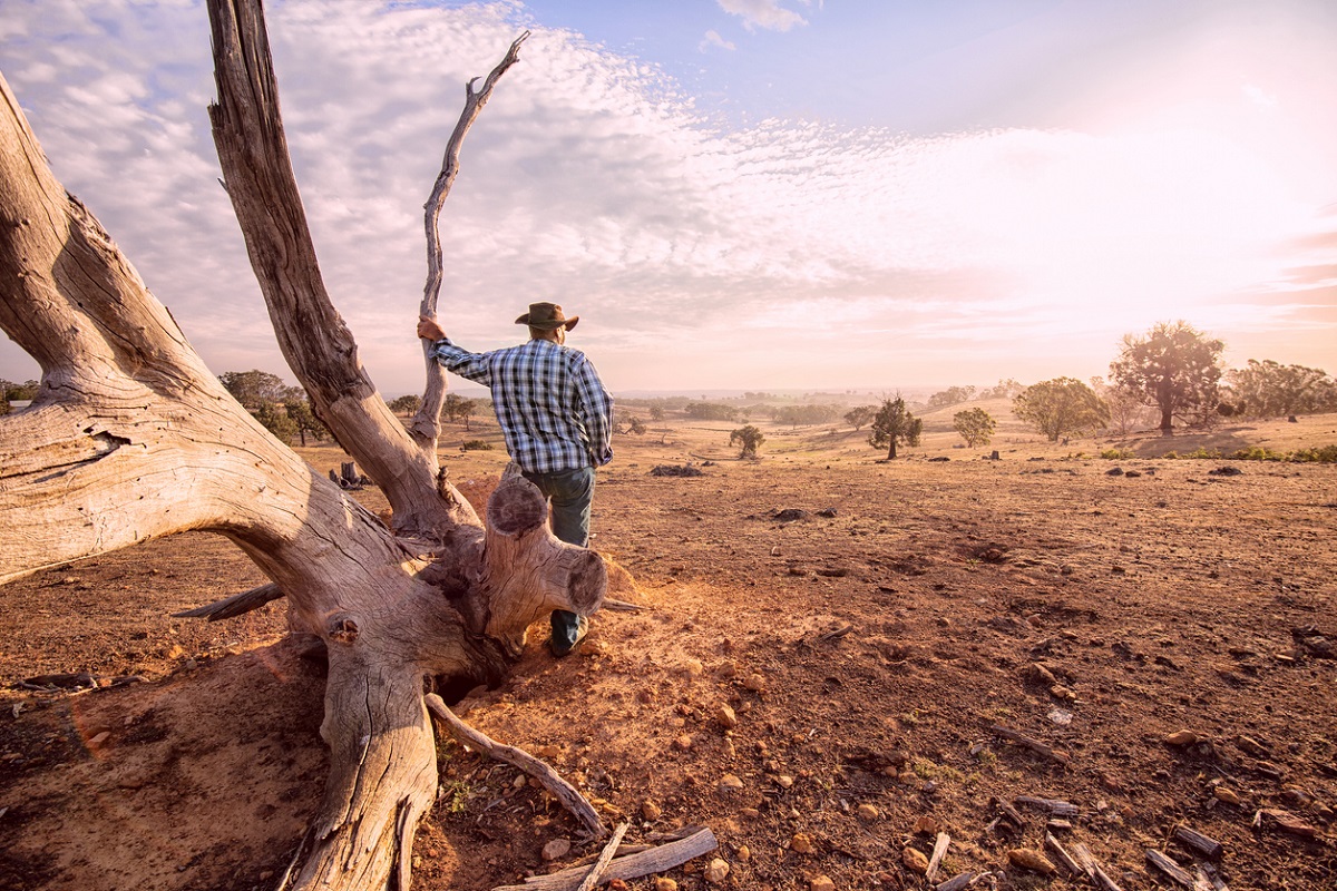 victorian government drought support