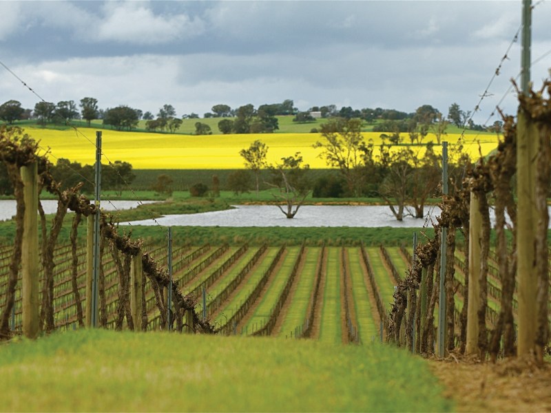 De Bortoli Wine Rutherglen