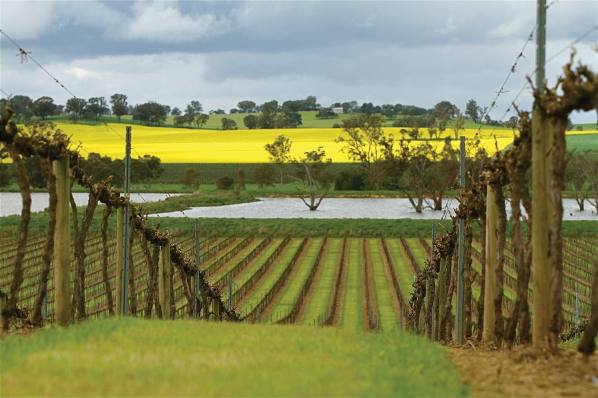 De Bortoli Wine Rutherglen