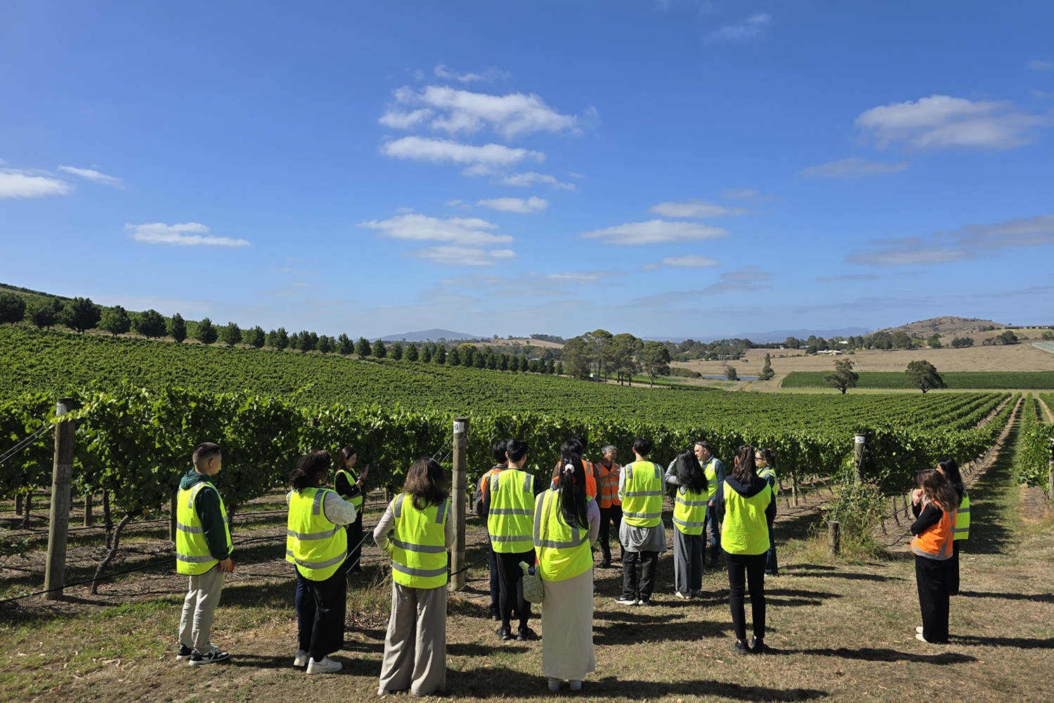 De Bortoli extends Melbourne University collaboration