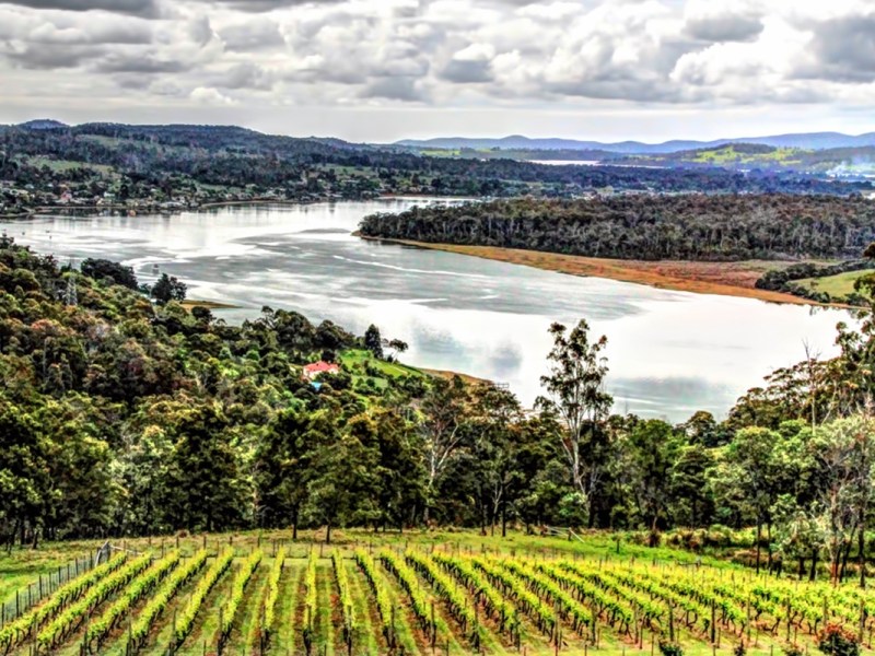 Tasmanian Sustainability Wine Awards