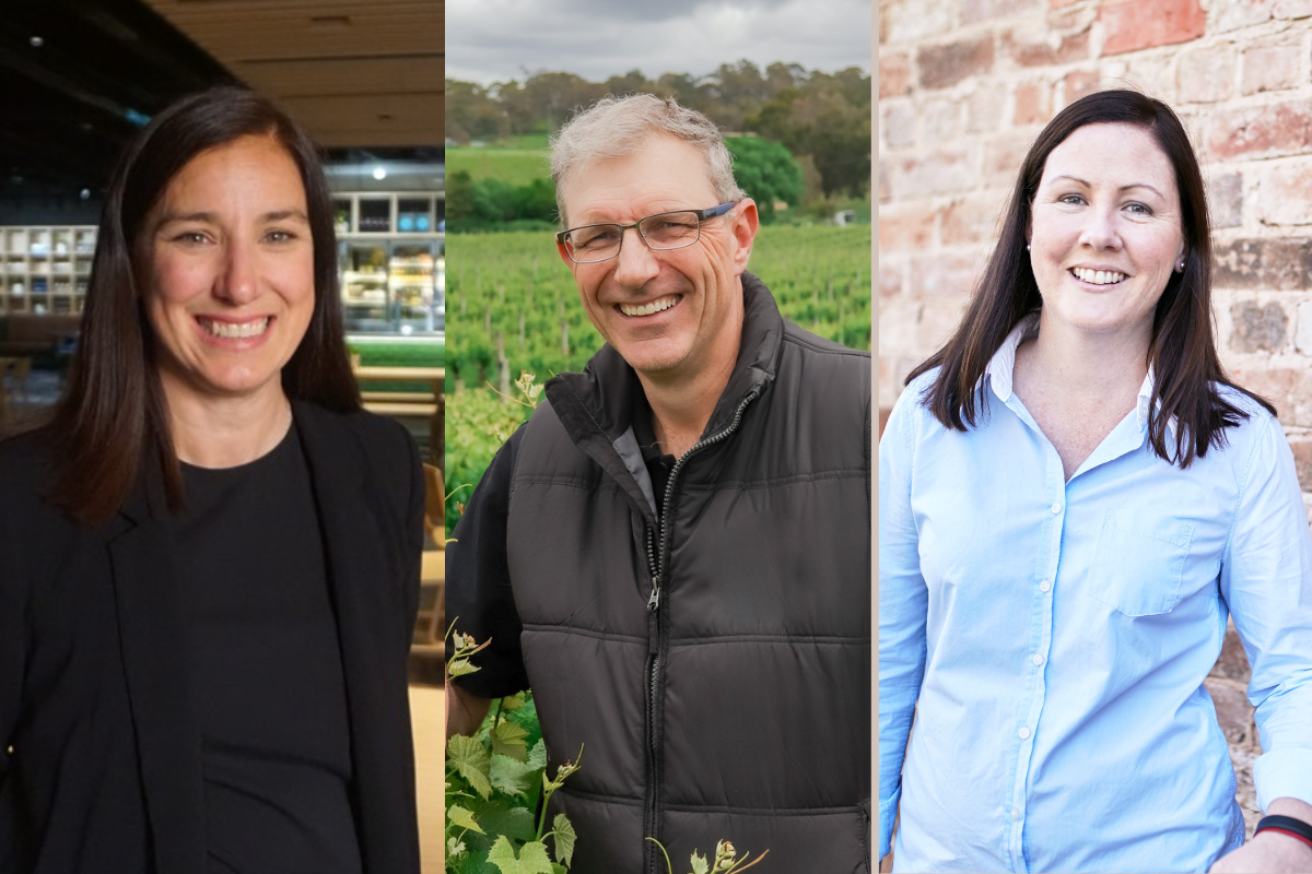 New Board and President for ASVO